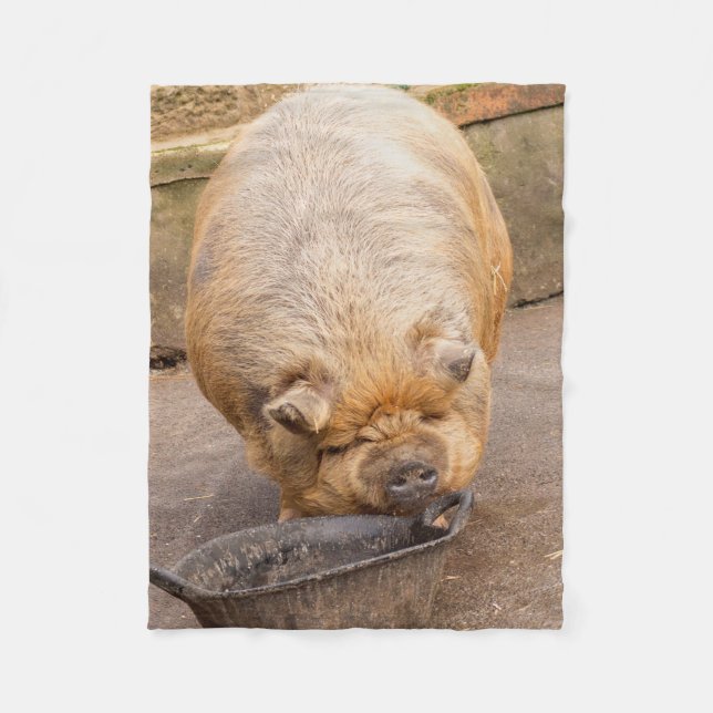 Manta Polar Cerdo gordo (Anverso)