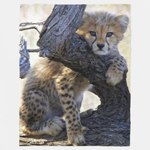 MANTA POLAR CHEETAH CUB