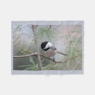 Manta Polar Chickadee
