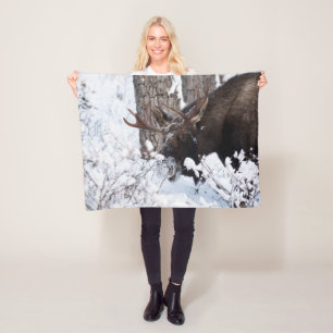 Manta Polar Chilly Moose