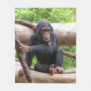Manta Polar Chimpanzee 001