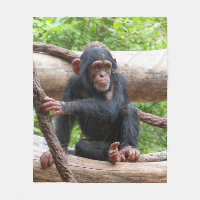 Manta Polar Chimpanzee 001 (Anverso)