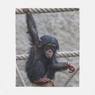 Manta Polar Chimpanzee 017