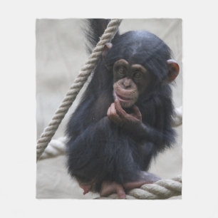 Manta Polar Chimpanzee 030