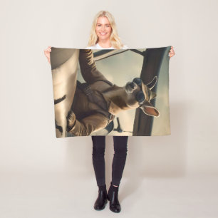 Manta Polar "Cielos de época: El piloto canguro en el viejo av