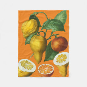 MANTA POLAR CITRUS FRUIT