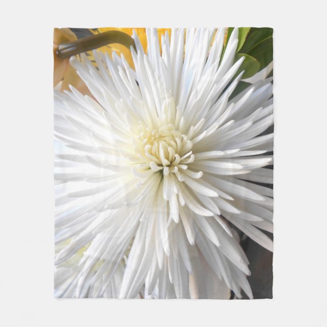 Manta Polar Claricia (Anverso)