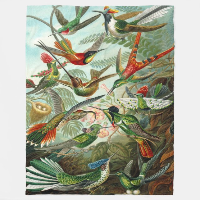 Manta Polar Colibríes de Ernst Haeckel (Anverso)