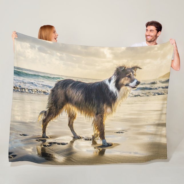 Manta Polar COLLIE by the SEA (In situ)