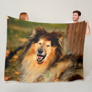 MANTA POLAR COLLIE DE OSO