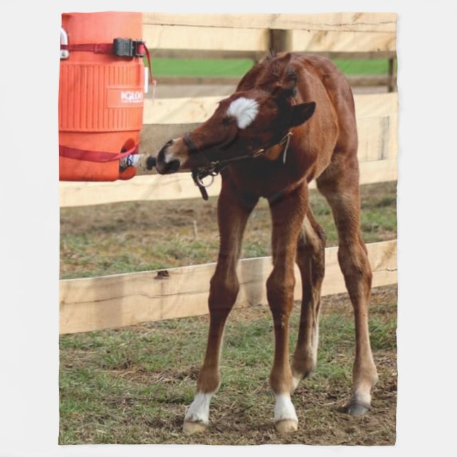 MANTA POLAR COLTA DE BEBÉ RECIBIENDO UNA COPA (Anverso)