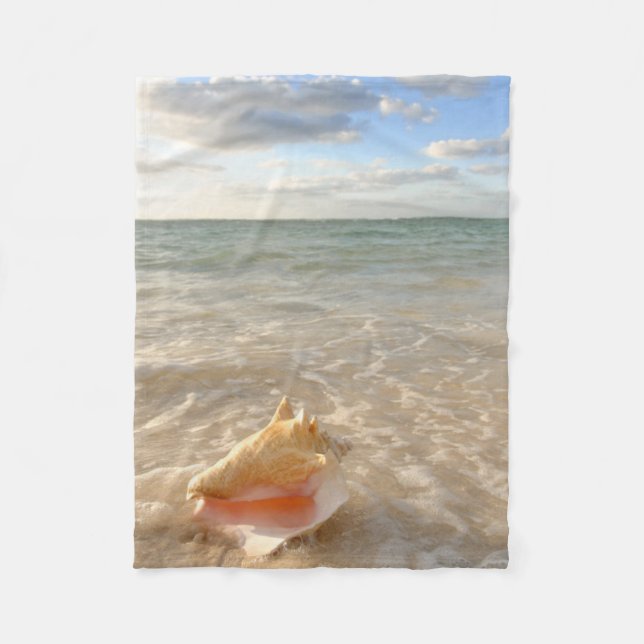 Manta Polar Concha Shell en arena en la playa tropical (Anverso)