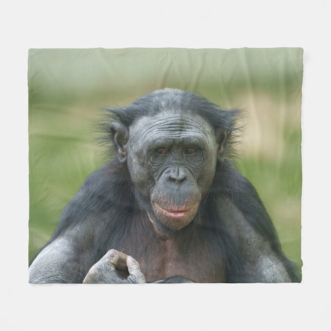 Manta Polar Contemplación de bonobo (Frente (Horizontal))