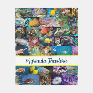 Manta Polar Coral Reef Marine Life Fish Animals Fotos Collage