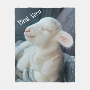 Manta Polar Cordero Viral Vern Dulce Personalidad