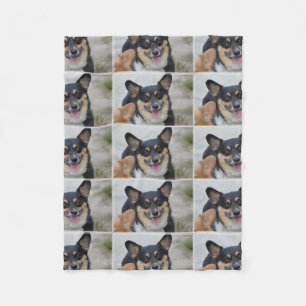 Manta Polar Corgi sonriente