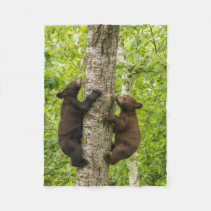Manta Polar Crías de oso negro subiendo a un árbol