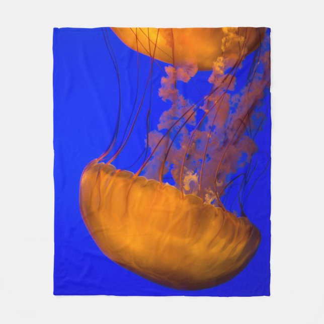 Manta Polar Criaturas marinas (Anverso)