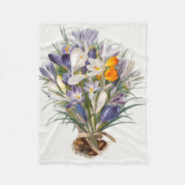 Manta Polar Crocus Spring Flower Botanical Floral Art