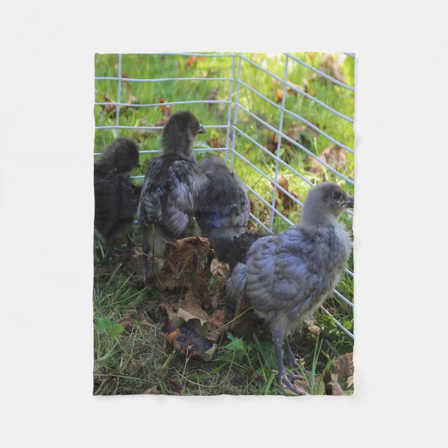 Manta Polar Cuál está para arriba - extremo del pollo (Anverso)