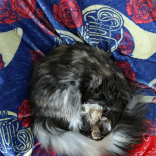 Manta Polar Cuerno Francés