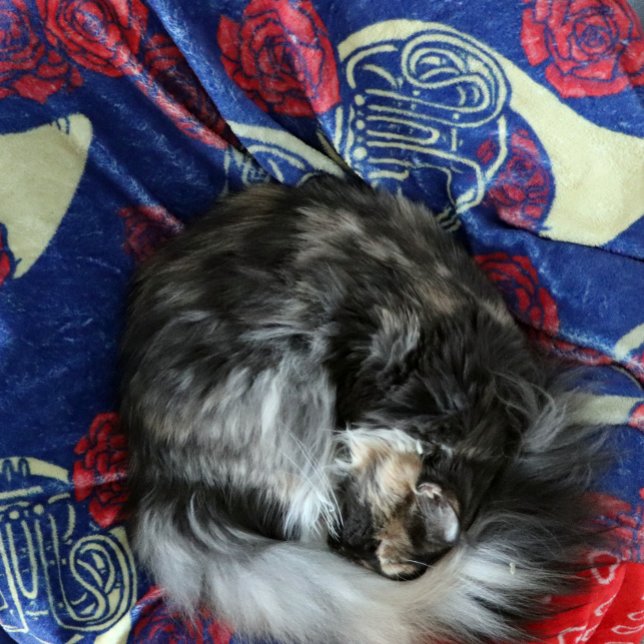 Manta Polar Cuerno Francés (Subido por el creador)