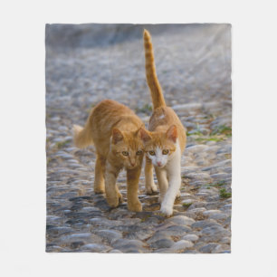 Manta Polar Cuidadosamente gatitos gatitos amigos Stony Path P
