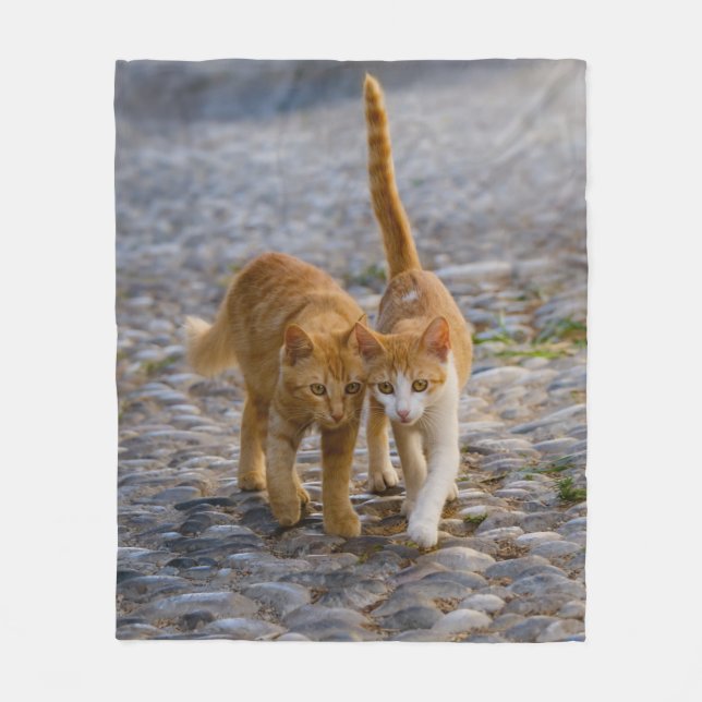 Manta Polar Cuidadosamente gatitos gatitos amigos Stony Path P (Anverso)