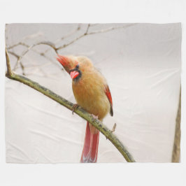 Manta Polar Curiosa Cardenal Fleece Blanket