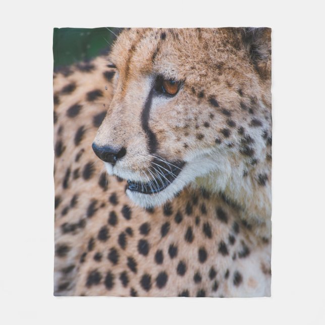 MANTA POLAR CURIOUS CHEETAH (Anverso)