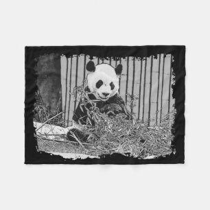 Manta Polar Cute Giant Panda Bear