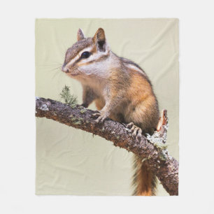 Manta Polar Cute y Chubby Chipmunk