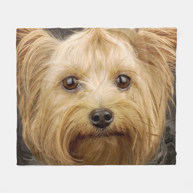 Manta Polar Cute Yorkshire Terrier (Frente (Horizontal))