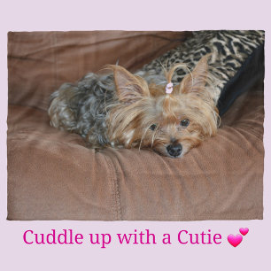 Manta Polar Cute Yorkshire Terrier Puppy