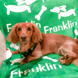 Manta Polar Dachshund Blanket regalo personalizado de perro de