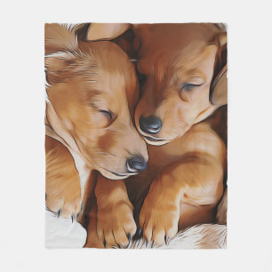 Manta Polar Dachshund Cute Sleeping Dachshund Puppies Birthday