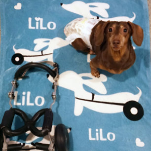 Manta Polar Dachshund IVDD silla de ruedas Wiener Dog Blanket