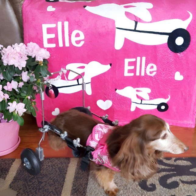 Manta Polar Dachshund IVDD silla de ruedas Wiener Dog Pink Bla (Wheelie dachshund gift - cozy pink personalized wheelchair cart blanket)