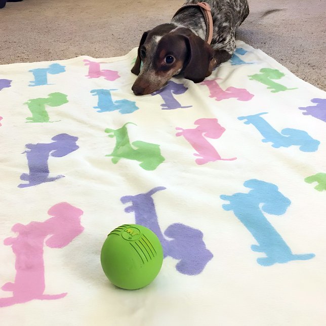 Manta Polar Dachshund Púrpura Azul Púrpura Pastel Verde (Pastel wiener dogs - pink purple and light blue - snuggly blanket for your doxie or you.)