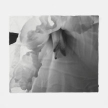 Daffodil Fotografía en blanco y negro