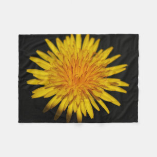 Manta Polar Dandelion Flower fbcna