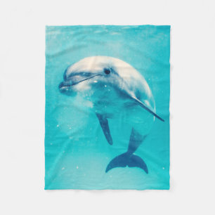 Manta Polar Delfín de Bottlenosed subacuático