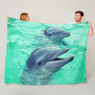 Manta Polar Delfines