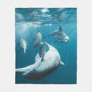 Manta Polar Delfines Hermosos Adorables