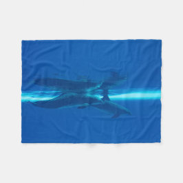 Manta Polar Delfines y reflexiones