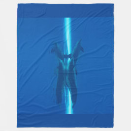 Manta Polar Delfines y reflexiones