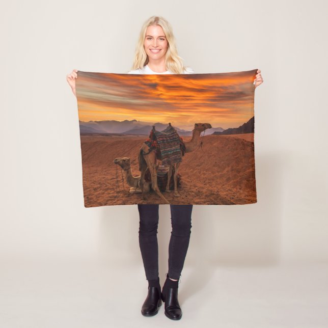 Manta Polar Deserts | Bactrian Camel Egypt Sand Dune (In situ)