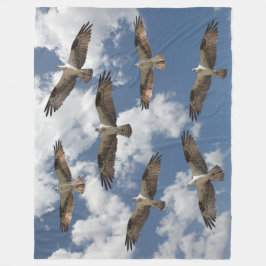 Manta Polar Desfile de Osprey en el cielo