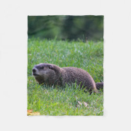 Manta Polar Devil's Hole Digger