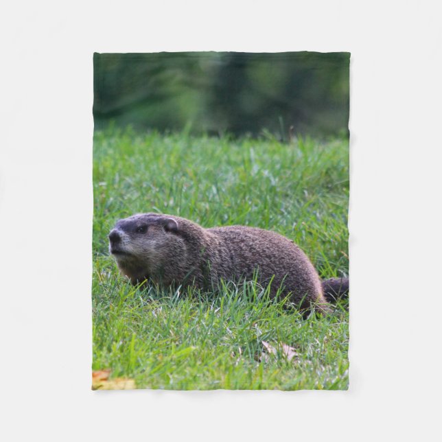 Manta Polar Devil's Hole Digger (Anverso)